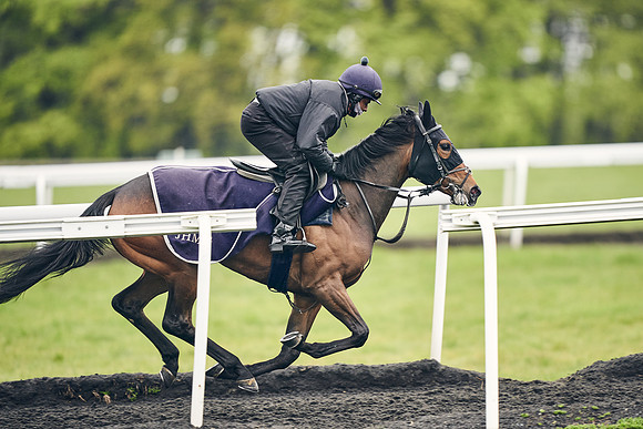 HORSES-IN-TRAINING-18TH-APR-DJ-1765