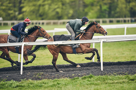 HORSES-IN-TRAINING-18TH-APR-DJ-1025