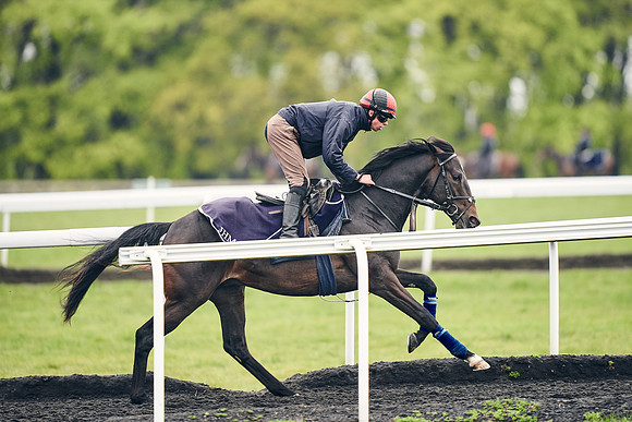 HORSES-IN-TRAINING-18TH-APR-DJ-1267