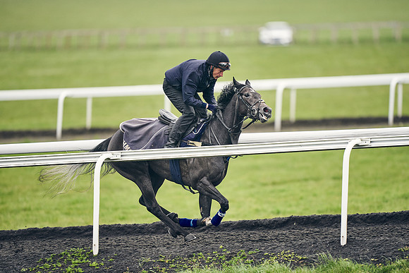 HORSES-IN-TRAINING-18TH-APR-DJ-1878