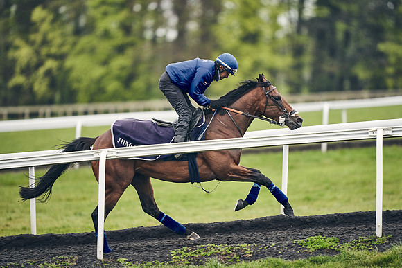 HORSES-IN-TRAINING-18TH-APR-DJ-1721