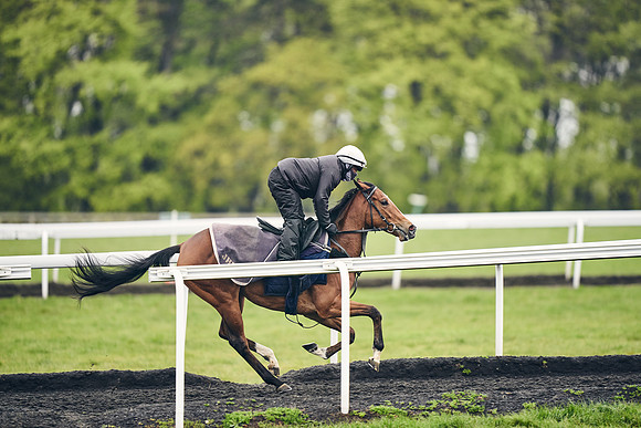 HORSES-IN-TRAINING-18TH-APR-DJ-1338