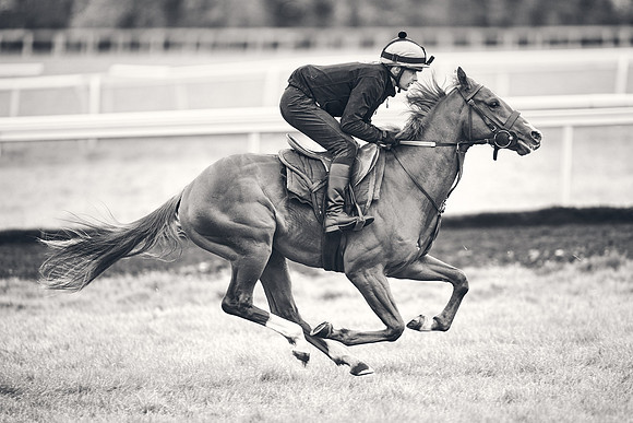 HORSES-IN-TRAINING-18TH-APR-DJ-1601