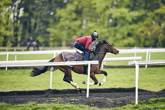 HORSES-IN-TRAINING-18TH-APR-DJ-1299