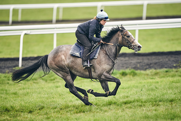 HORSES-IN-TRAINING-18TH-APR-DJ-1666