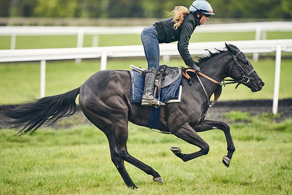 HORSES-IN-TRAINING-18TH-APR-DJ-1656