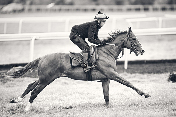 HORSES-IN-TRAINING-18TH-APR-DJ-1598