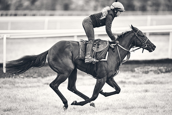 HORSES-IN-TRAINING-18TH-APR-DJ-1655