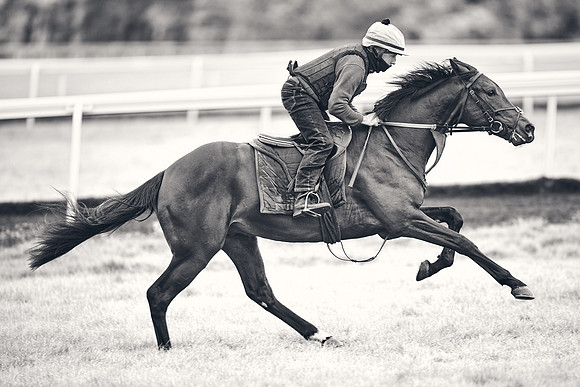 HORSES-IN-TRAINING-18TH-APR-DJ-1575