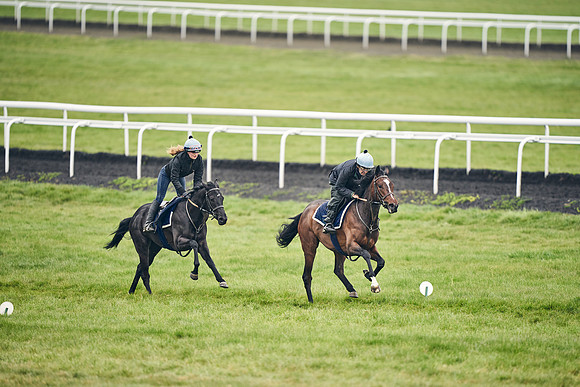 HORSES-IN-TRAINING-18TH-APR-DJ-1629