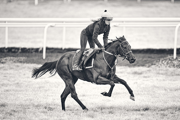 HORSES-IN-TRAINING-18TH-APR-DJ-1644