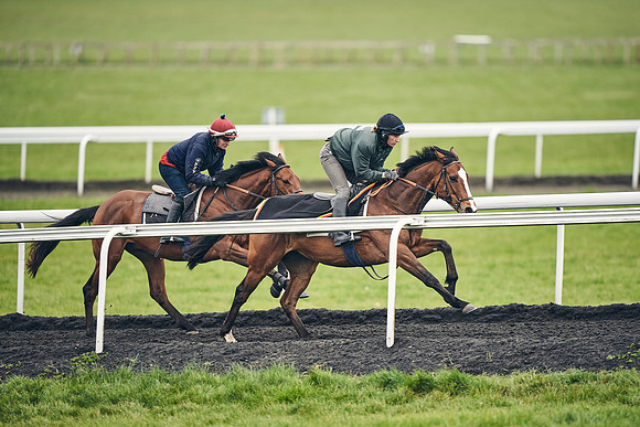 HORSES-IN-TRAINING-18TH-APR-DJ-1017