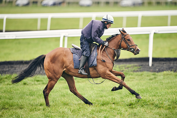 HORSES-IN-TRAINING-18TH-APR-DJ-1687