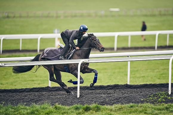 HORSES-IN-TRAINING-18TH-APR-DJ-1854
