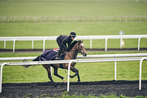 HORSES-IN-TRAINING-18TH-APR-DJ-1818