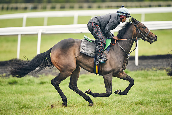 HORSES-IN-TRAINING-18TH-APR-DJ-1672
