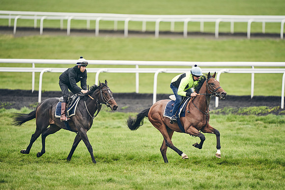 HORSES-IN-TRAINING-18TH-APR-DJ-1602