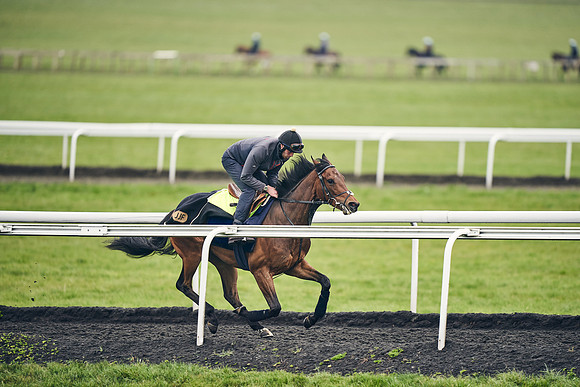 HORSES-IN-TRAINING-18TH-APR-DJ-1900