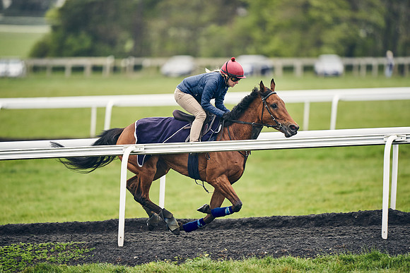 HORSES-IN-TRAINING-18TH-APR-DJ-1832