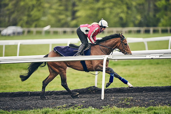 HORSES-IN-TRAINING-18TH-APR-DJ-1842