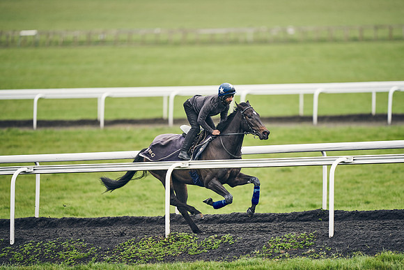 HORSES-IN-TRAINING-18TH-APR-DJ-1848