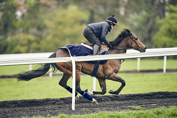 HORSES-IN-TRAINING-18TH-APR-DJ-1796