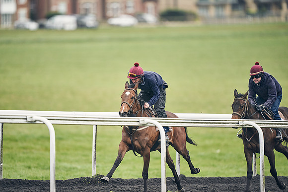 HORSES-IN-TRAINING-18TH-APR-DJ-2066