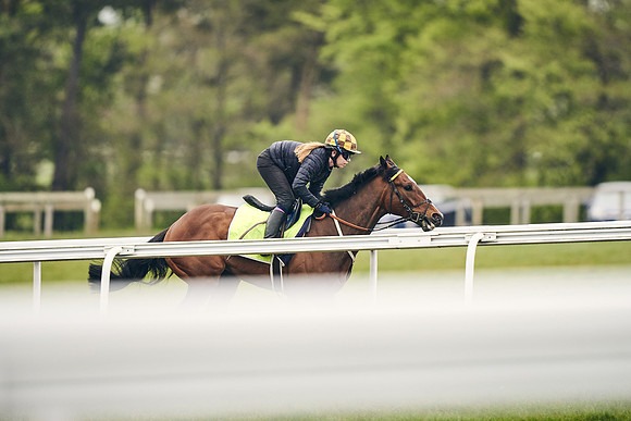 HORSES-IN-TRAINING-18TH-APR-DJ-2050