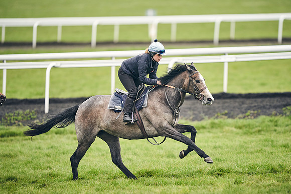 HORSES-IN-TRAINING-18TH-APR-DJ-1662