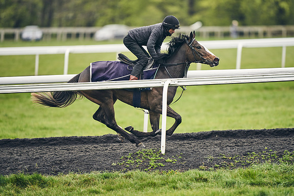 HORSES-IN-TRAINING-18TH-APR-DJ-2007