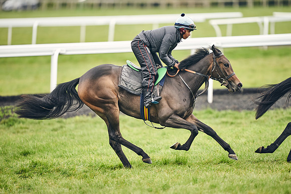 HORSES-IN-TRAINING-18TH-APR-DJ-1668