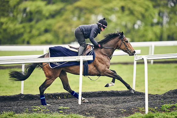 HORSES-IN-TRAINING-18TH-APR-DJ-1788