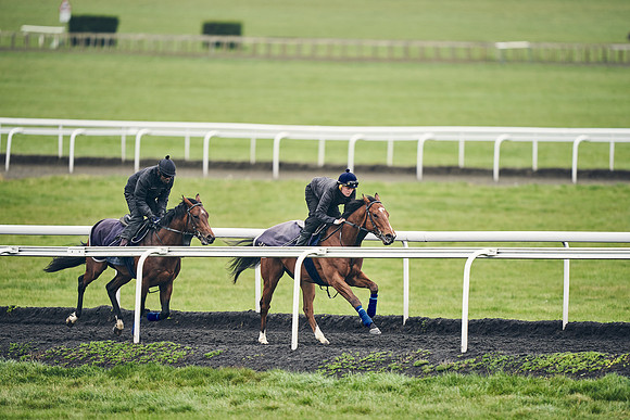 HORSES-IN-TRAINING-18TH-APR-DJ-1942