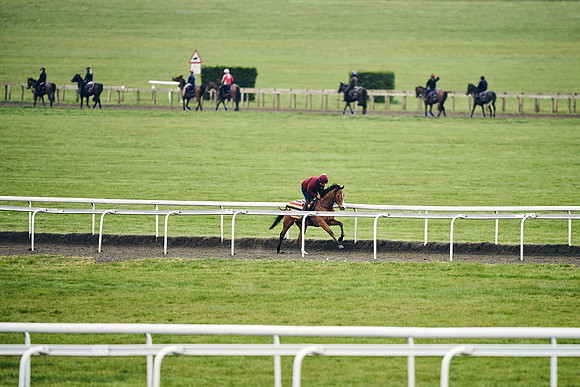 HORSES-IN-TRAINING-18TH-APR-DJ-1463