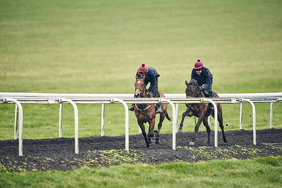 HORSES-IN-TRAINING-18TH-APR-DJ-2063