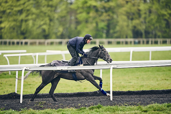 HORSES-IN-TRAINING-18TH-APR-DJ-1157