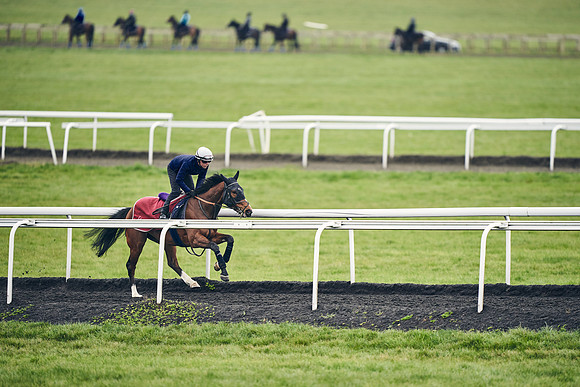 HORSES-IN-TRAINING-18TH-APR-DJ-1362