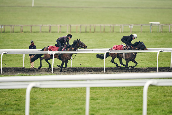 HORSES-IN-TRAINING-18TH-APR-DJ-1965