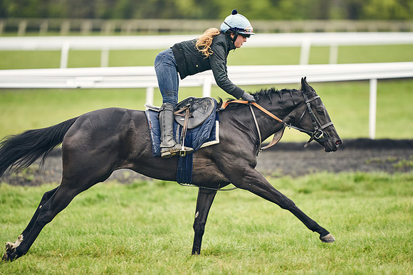 HORSES-IN-TRAINING-18TH-APR-DJ-1653
