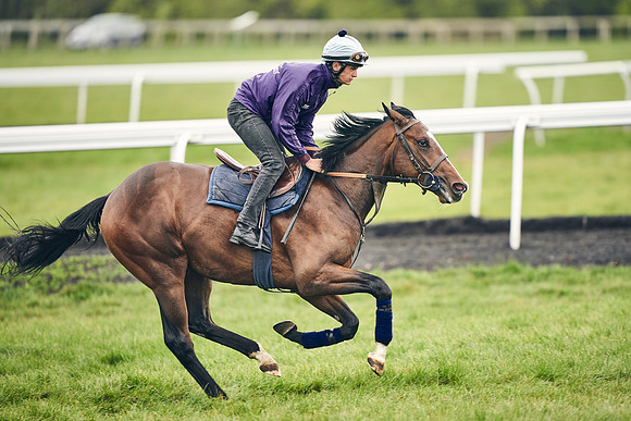 HORSES-IN-TRAINING-18TH-APR-DJ-1564