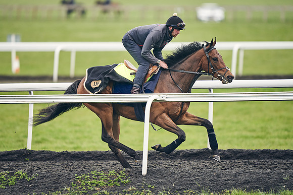 HORSES-IN-TRAINING-18TH-APR-DJ-1908
