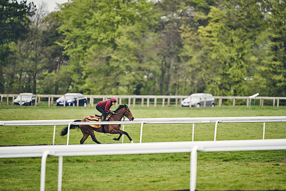 HORSES-IN-TRAINING-18TH-APR-DJ-1488