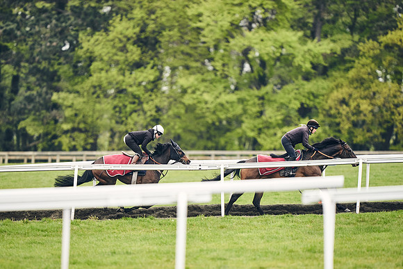 HORSES-IN-TRAINING-18TH-APR-DJ-1428