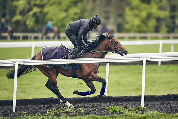 HORSES-IN-TRAINING-18TH-APR-DJ-1259
