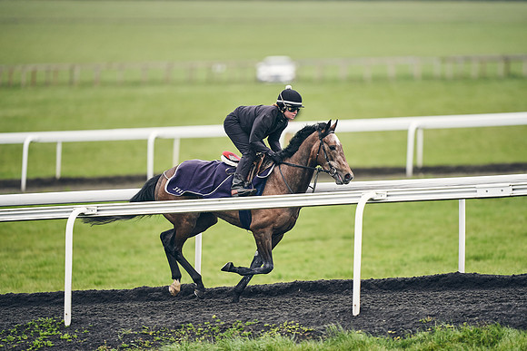 HORSES-IN-TRAINING-18TH-APR-DJ-1821