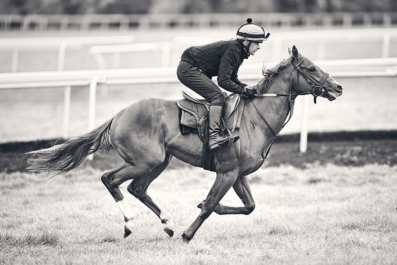 HORSES-IN-TRAINING-18TH-APR-DJ-1600