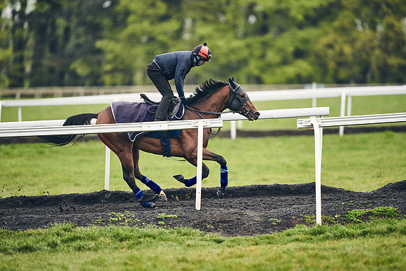 HORSES-IN-TRAINING-18TH-APR-DJ-1427