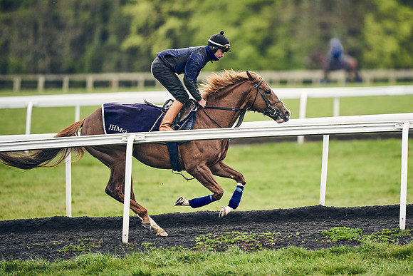 HORSES-IN-TRAINING-18TH-APR-DJ-1218