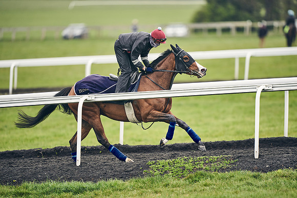 HORSES-IN-TRAINING-18TH-APR-DJ-1723