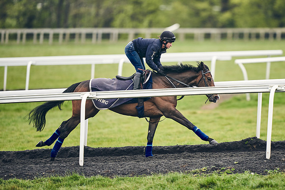 HORSES-IN-TRAINING-18TH-APR-DJ-1031